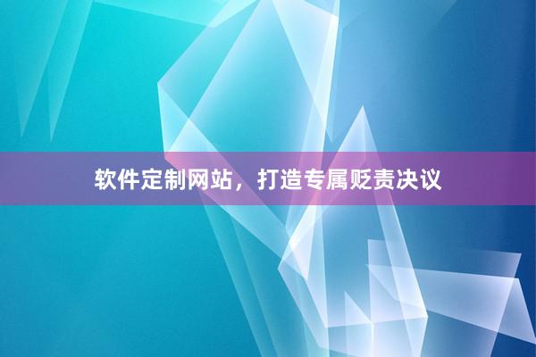 软件定制网站，打造专属贬责决议